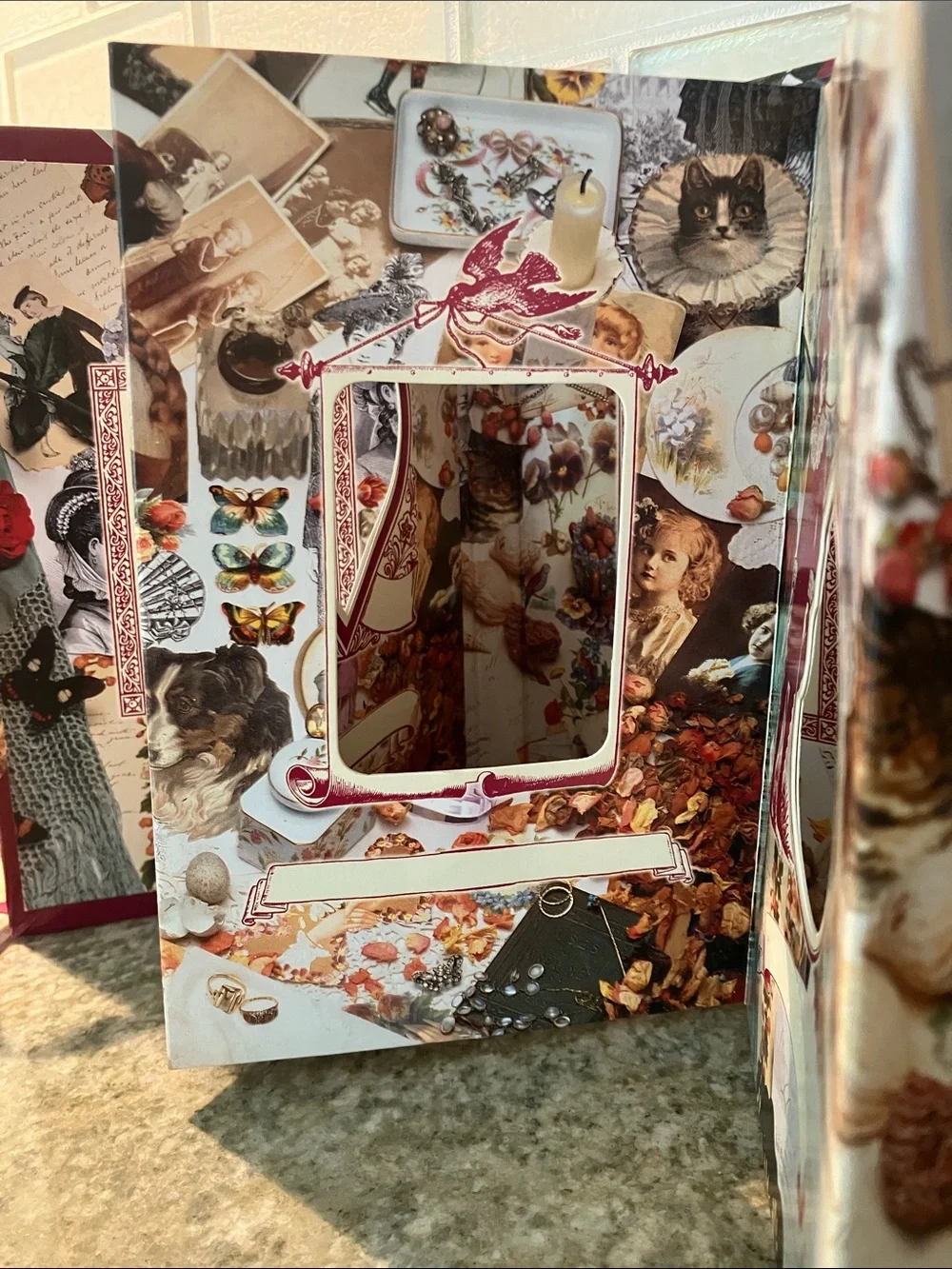 Victorian Photographs Frieze Album Keepsake